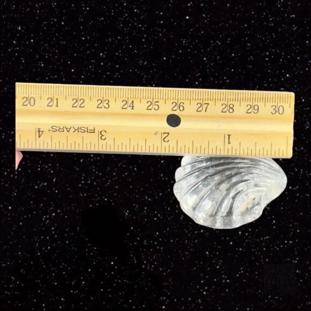 Clear Miniature Art Glass Nautical Theme‎ Shell Figurine Small Paperweight Glass